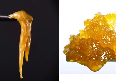 Liveharpiks vs. Live Rosin: Hva er forskjellen?